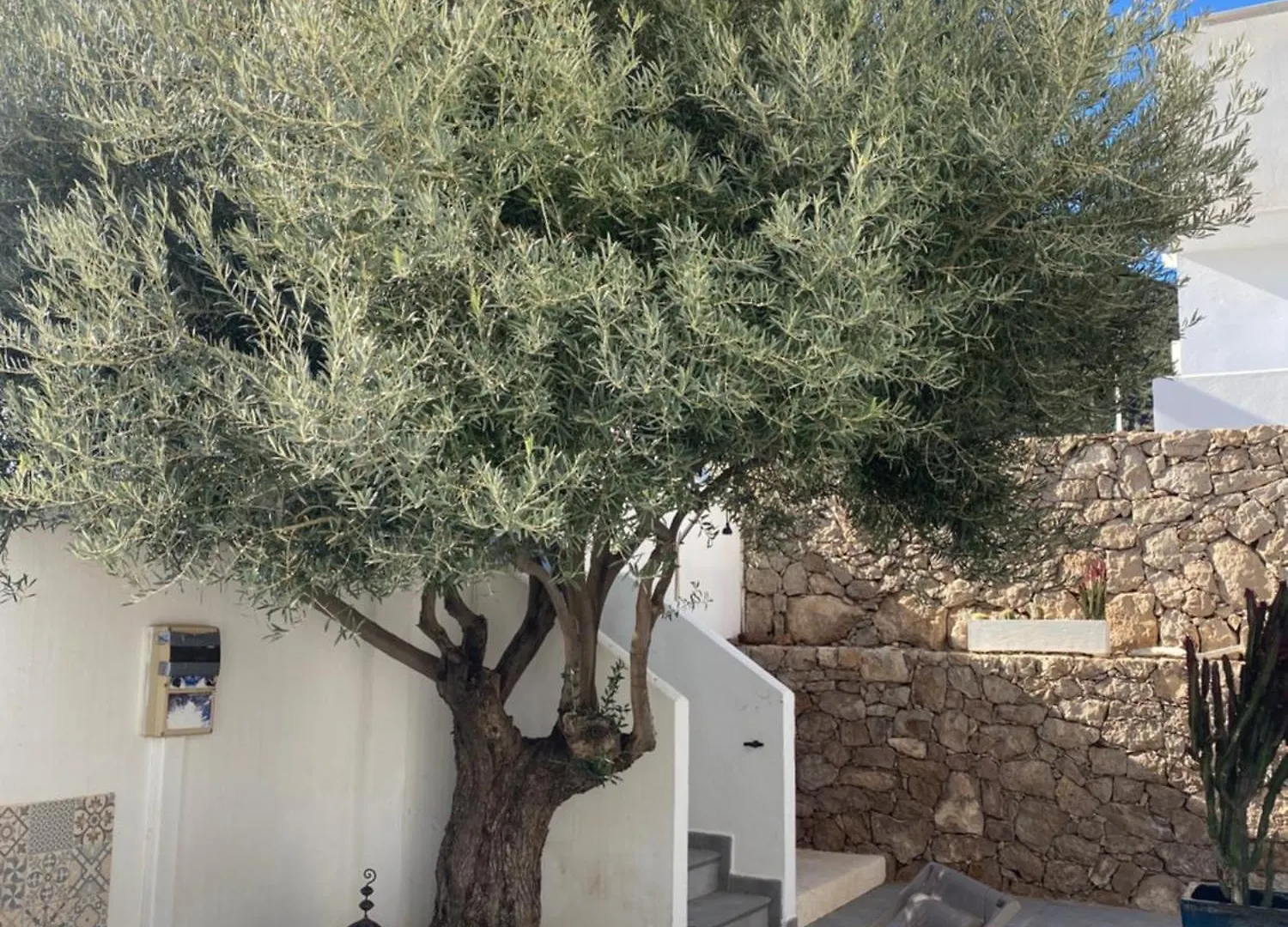 Villa El Olivo San Jose  Spain
